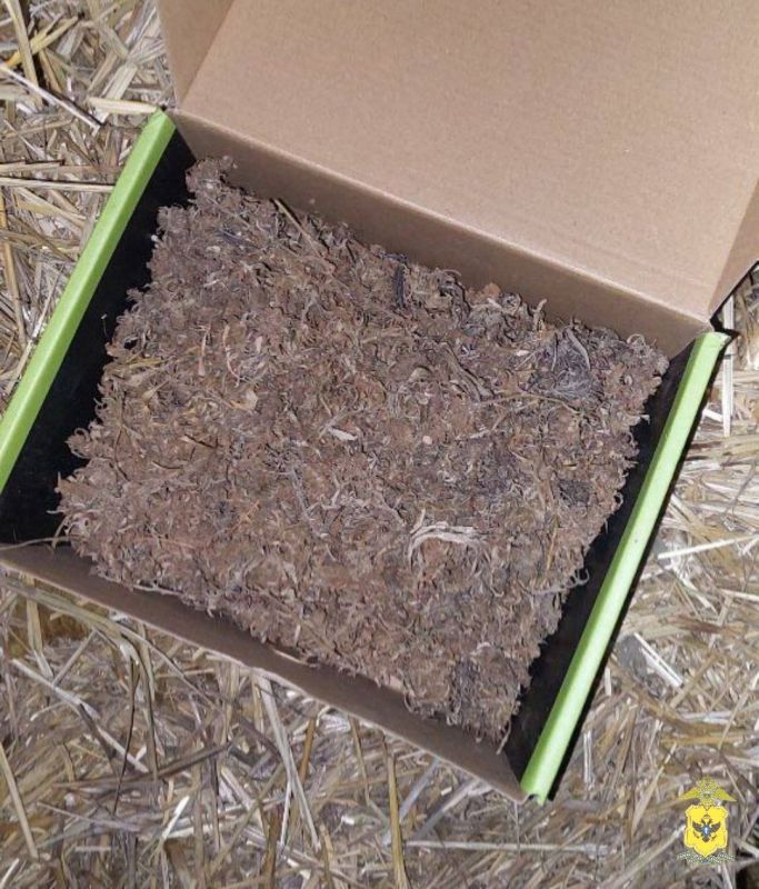 � ���������������� ������ ����������� ������ � �������� ������ ����� 200 ������� ���������