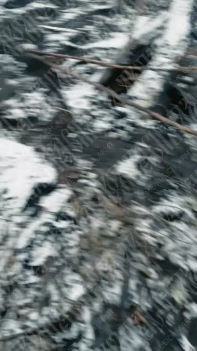 � ��� ��������� ��������, ��� ��� ���������� ������� ���������