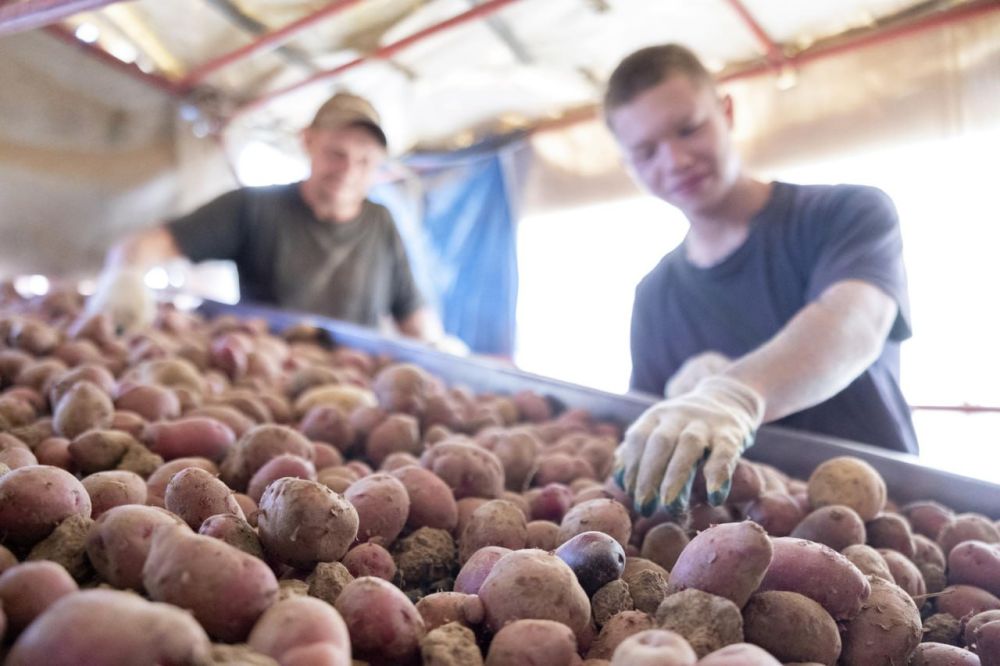 ����� ��������� �������� � ���������� �������