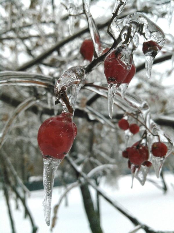 � ������ �����, �����������!