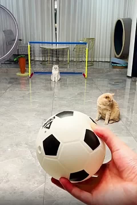 ��������� ���� ������� ���������� �������