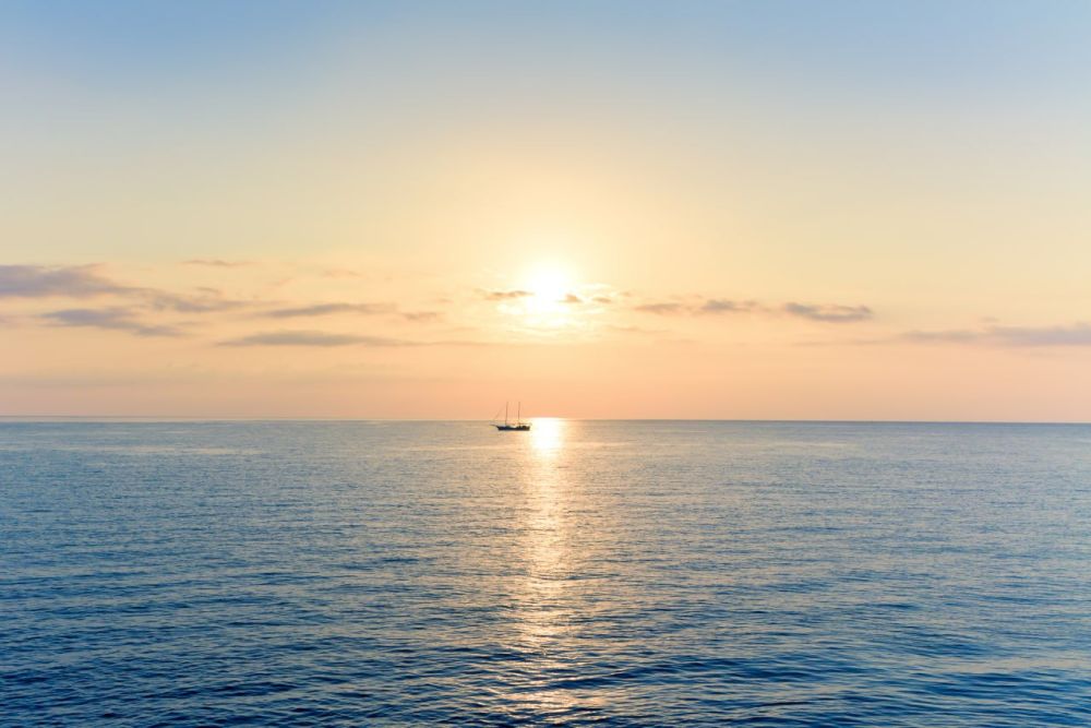 ����� ����������: C ������ �����! ����� ����������� ���, ������������ ������� ��������� � ���������� ���������! ����� ���� ���� ������� �������� �����������, ���������� ������������, �������� ������������ � ����� ������!...