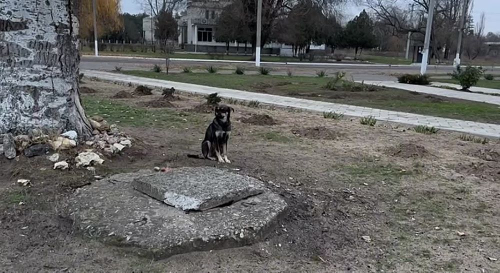 ����� �������������� ���������� ������ ������� ���� � ������� ������� ������� ��������� ������ ������� � ��������