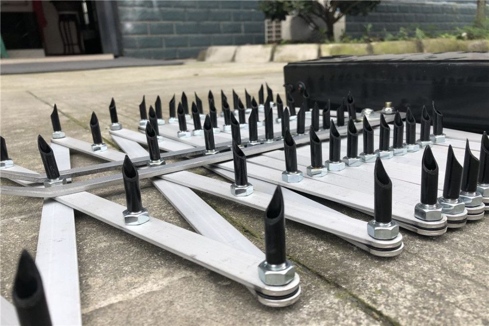 ��������� �������� ����������� (���) ������ ������������ ���������� ���� "���" ��� ��������� ����������� � ���������