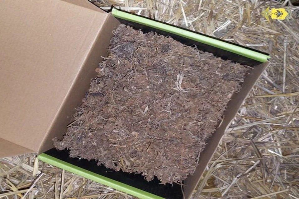 � ������ ���������� ������� ����� ������� � ����������