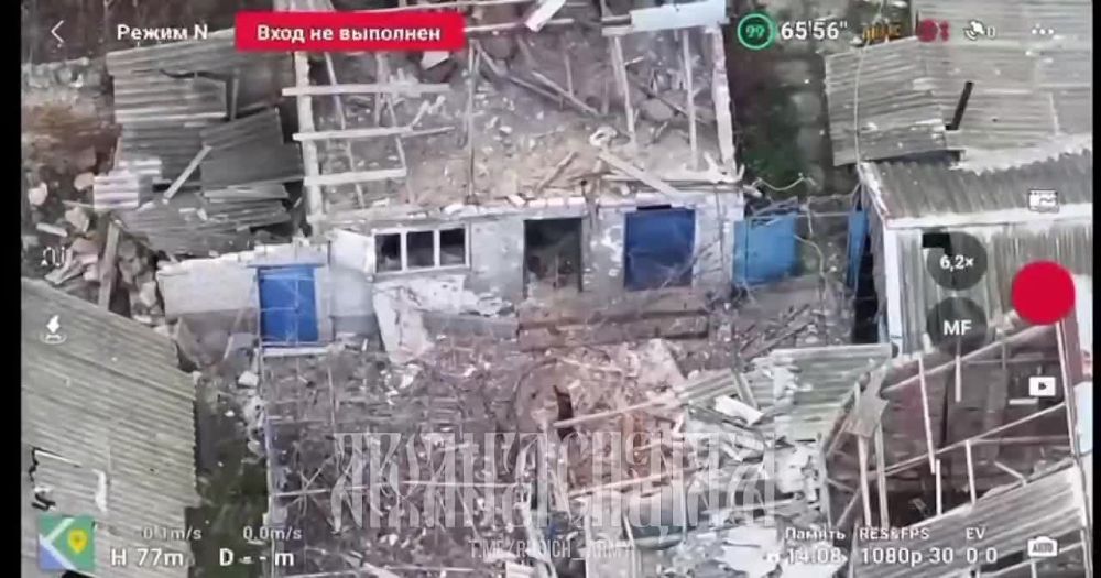 ���������� �� ���������� �����������: