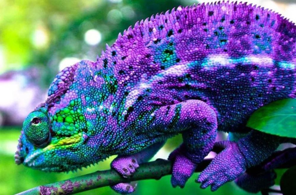 . � �� ����� ��� ��������� ����� ������� ������� � ������ ������������ ������������