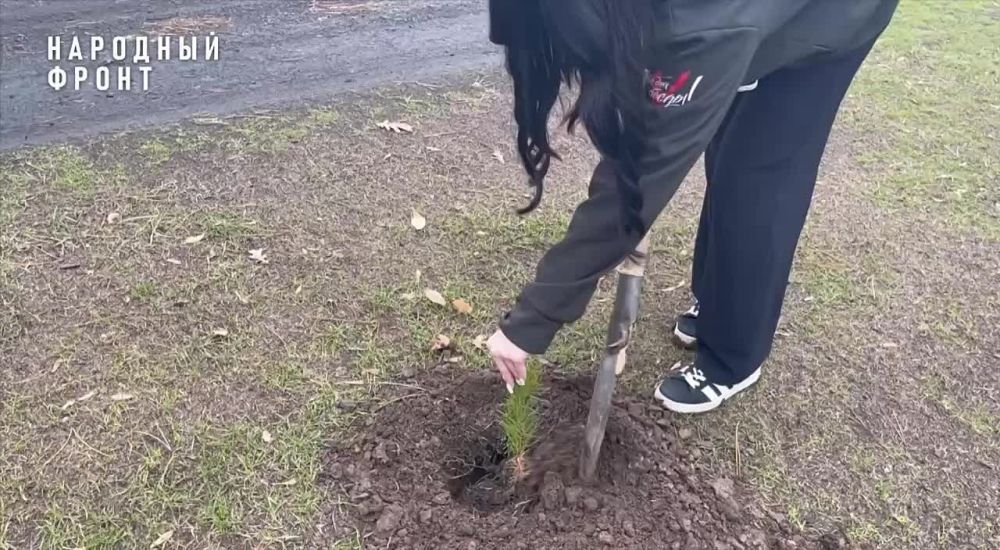 �������� ����� ������� ������������� ����� ������� ����������� ��� ����� �� ���������� "����� ������"