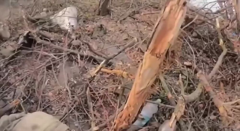 ����� ���������� ������������� ����� ����