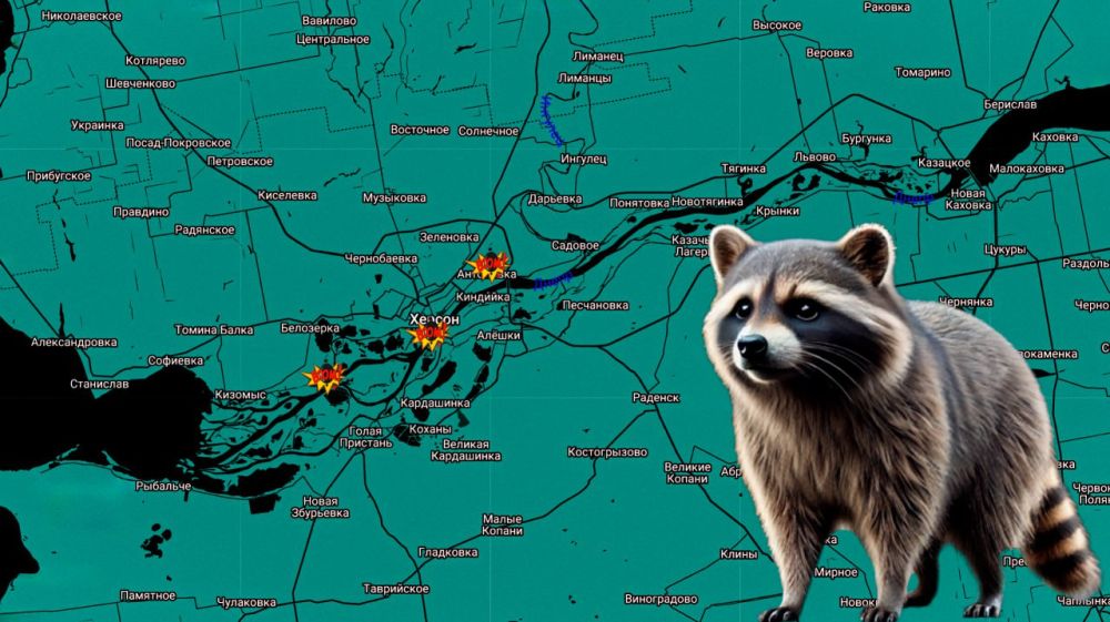 ���� �� �������: ������ ����, ������� ������