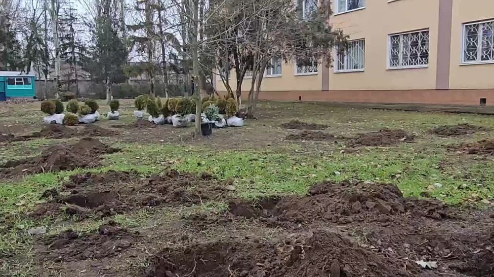 ��������� �����: ���� ����������� ���������� ��������� � ��������� �������� �������� ��������