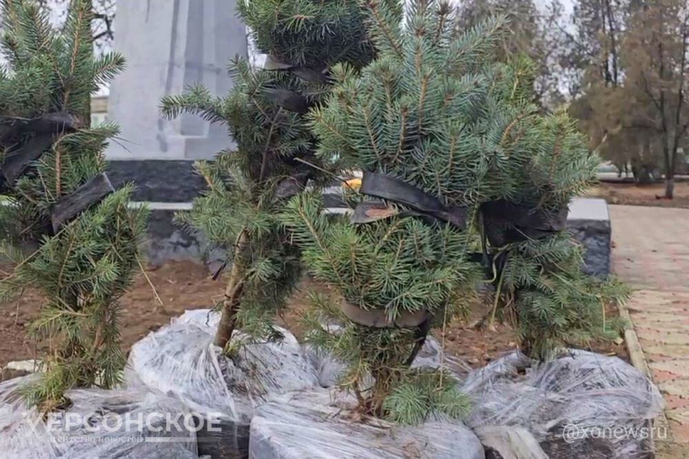 � ���������� �������� ����� � ��� � ������ � ��������� ������� ������������� �����