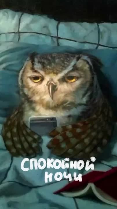 ���, �����! ����� ������ ��� ���� � ���