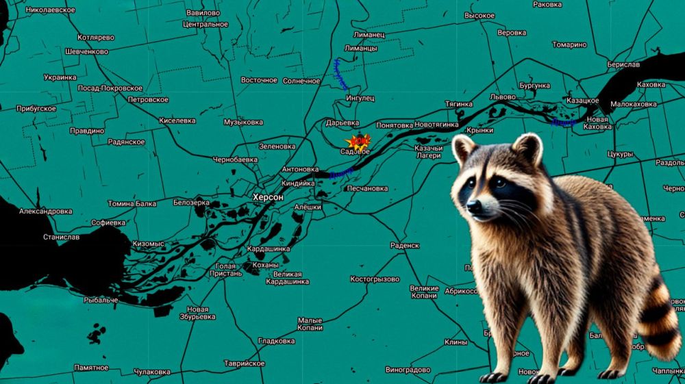 ���� �� �������: ������ ����, ������� ������