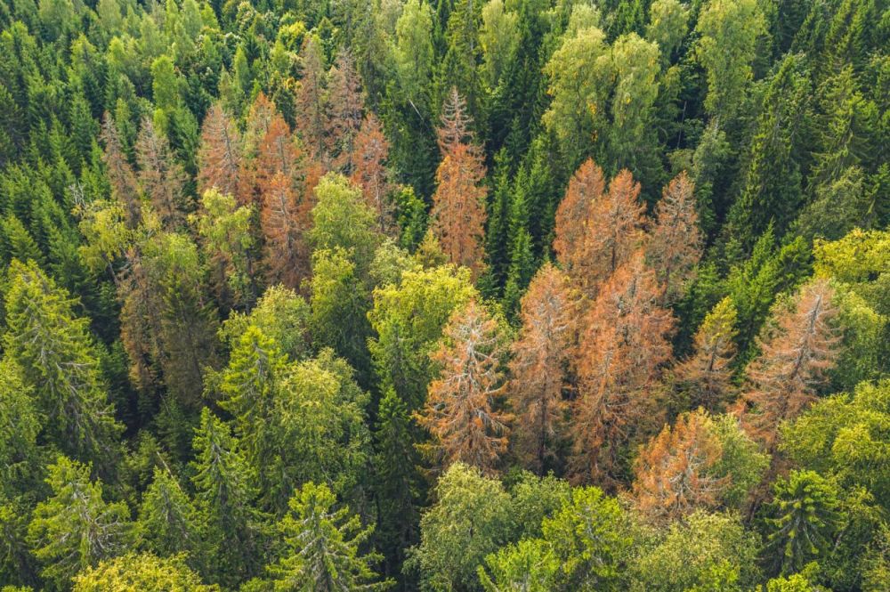 � ���������� ������� ������ ����� �������� �� 17 ������ � �������