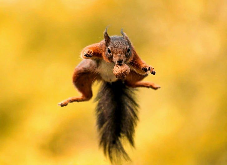 ��� ��� "����", ������� �� ��������� ��������� ������ �� ��������� "�����" ���������� �����������, ����� ����� "���������" � ����� �� ����������, � ������ �������� �������?!