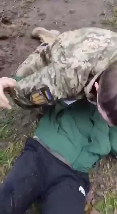 ������, ��� "���������" ����� ����� ���������� �� ���� ��� � "����������" ���������