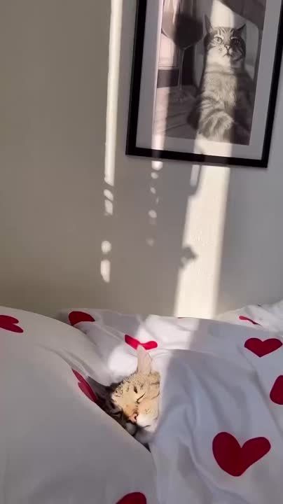 � ����� ���� ���... �� ��� ��, "�������" ��� ��������, ��� ��� ���-�� ���������