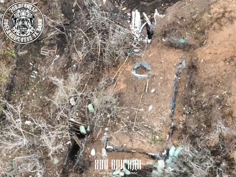 ������� � ���������� ������� ���