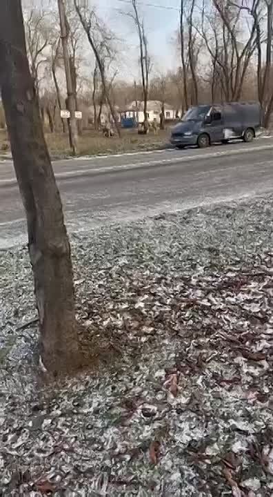 �.������ ��� - ��� � ������� ������ ����� ���� � ����