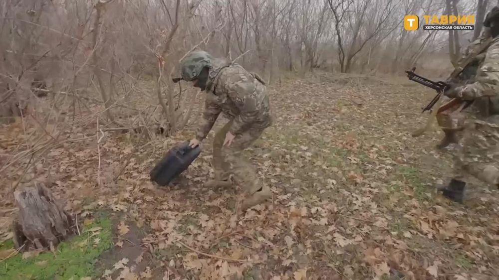 �������� ����������� ����� "�����" ������������ ����� � ���������� ���������� �������� �� ���������� �����������