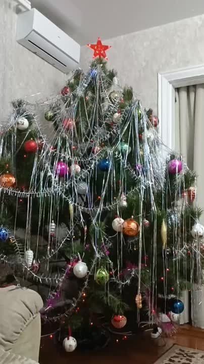 � ������ �����, �����������!