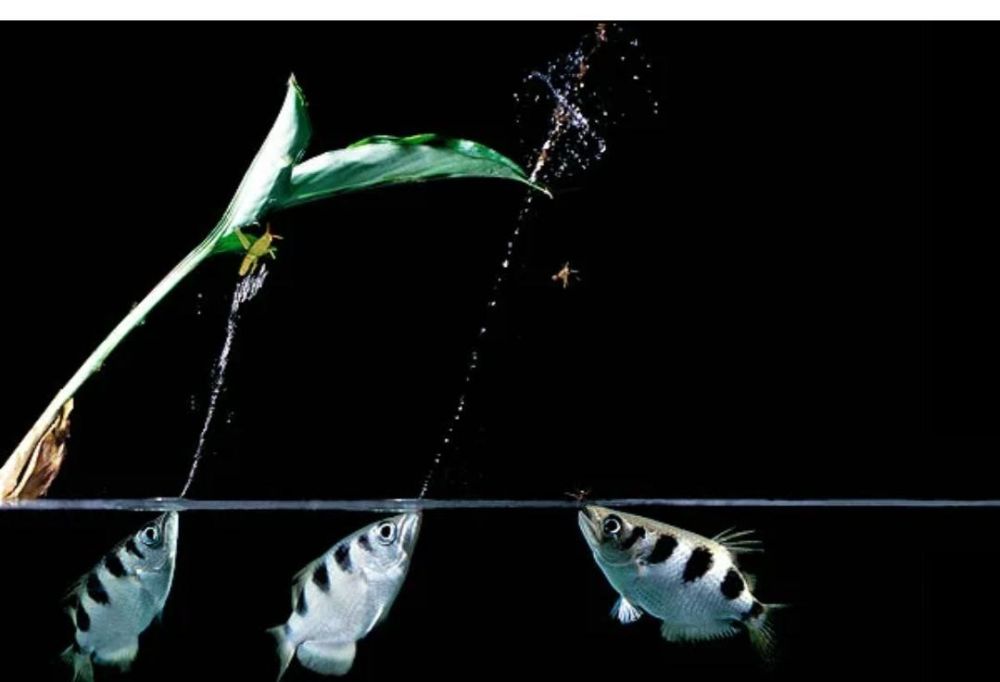 . � �� ����� ��� ������� ����� �������� ������ ������� � ���������� 1,5 ������