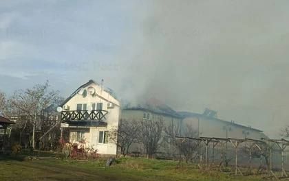 ������ ���� ����� ������ ����� � ������� ���� � ���������� ������� 15 �������