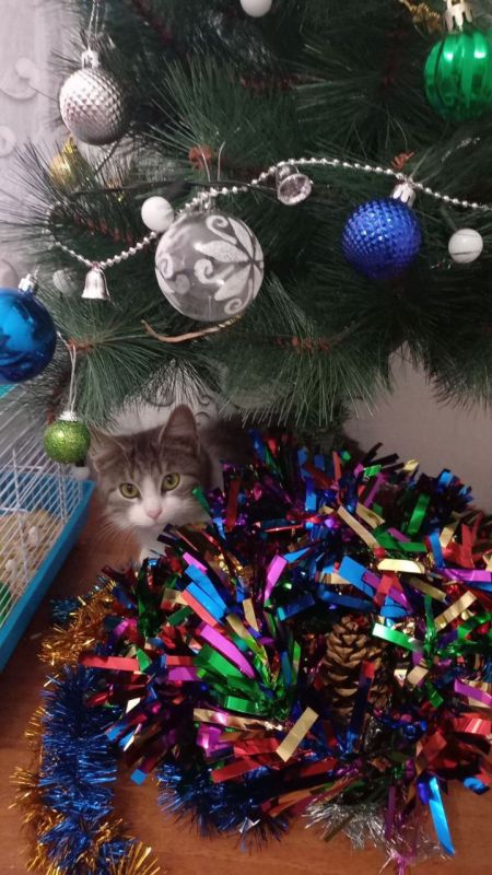 � ������ �����, �����������!