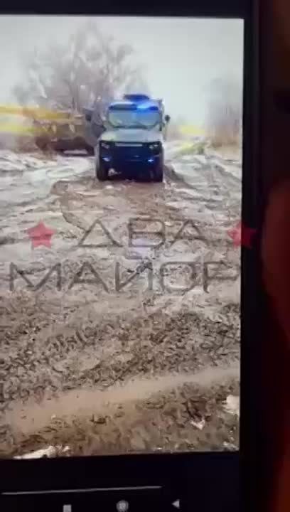 ��� ������: ������������ �����������, ���������