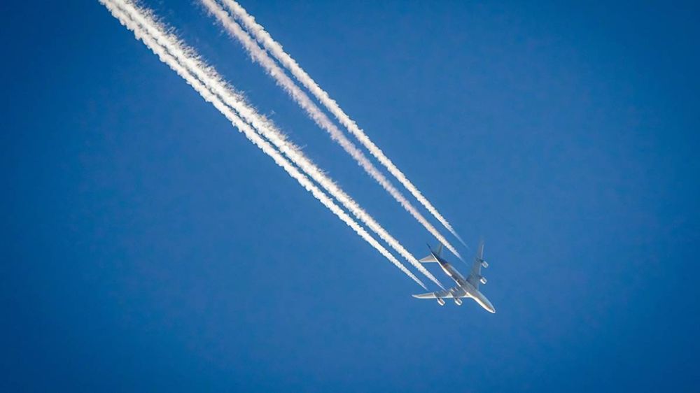 ���� ��� �� �� ����� ���� ����������� ������� ��� �������� �������