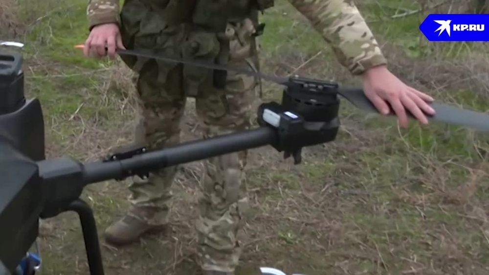 �������� ����� ���������� �������� ������� � ������ ������: ����� ������ ���������� �������������