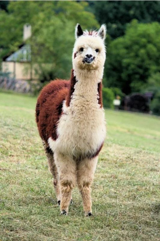 . � �� ����� ��� ���� �� ����� �����