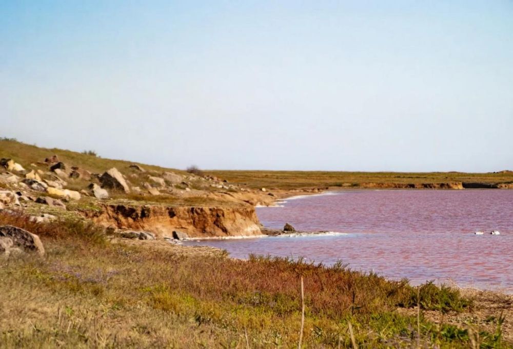 �������� ������� ���� ����� ����� ���������� �������