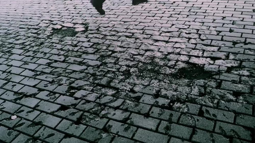 ������������ ��� ������ ����� ������������ WarGonzo!