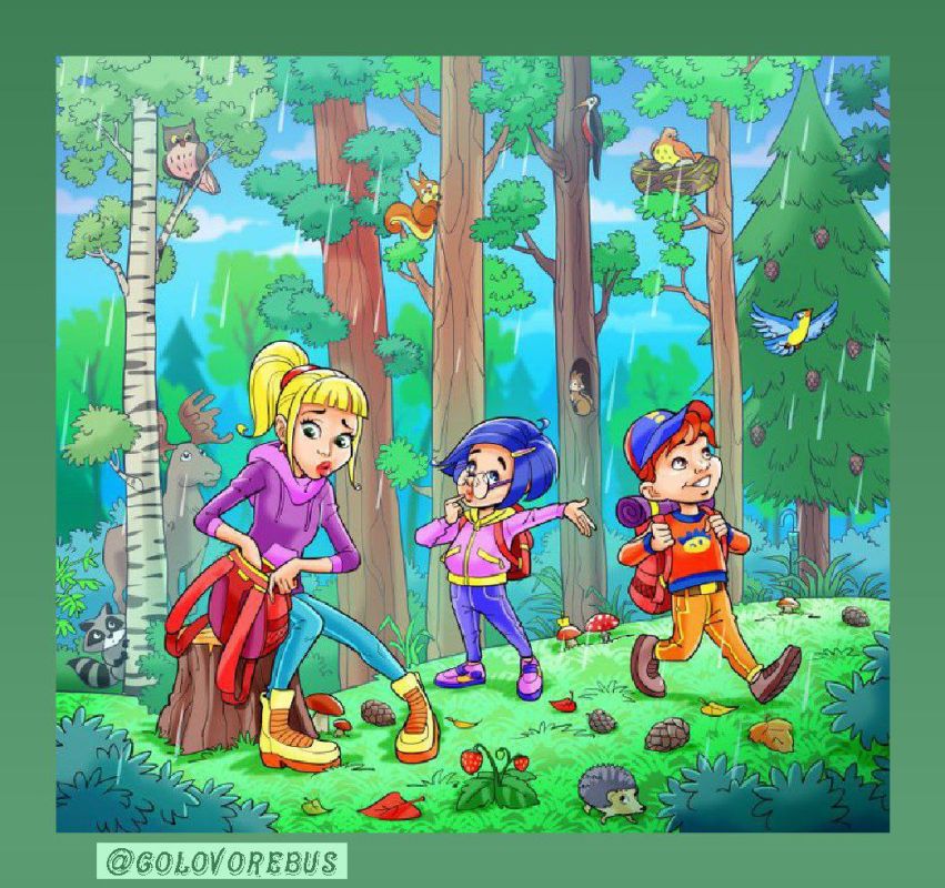 ������ ��������! �������� �����!