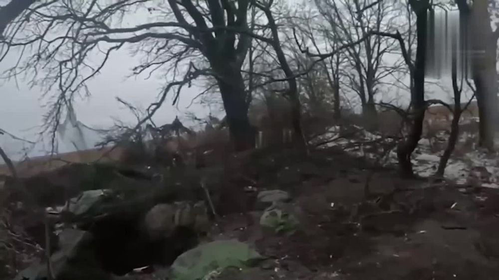 � ���������! ����� ������! �� ���� � ����� �������, �������! ��� ������ ��������� ��������!�