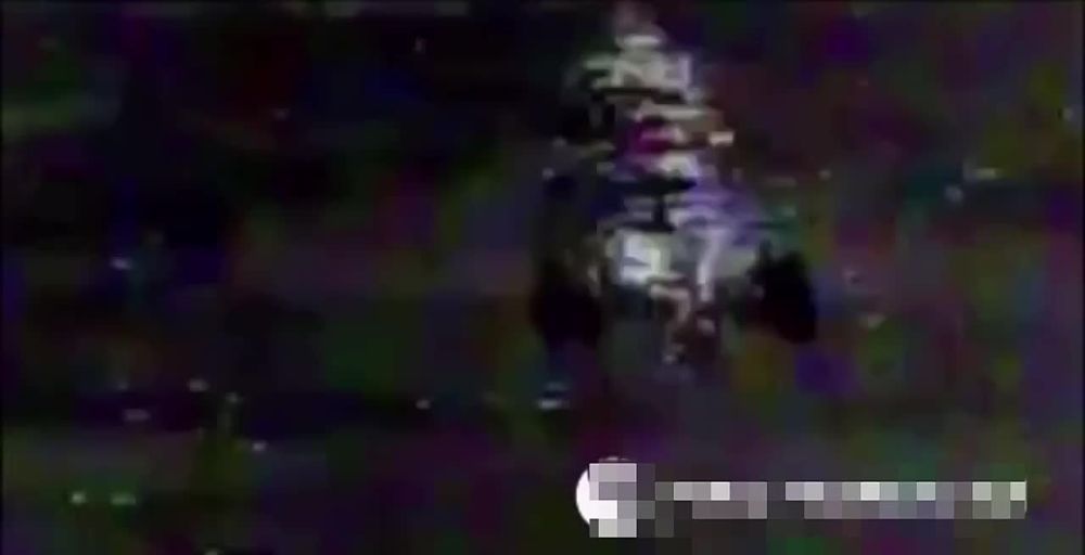 ���������� �����������. �������