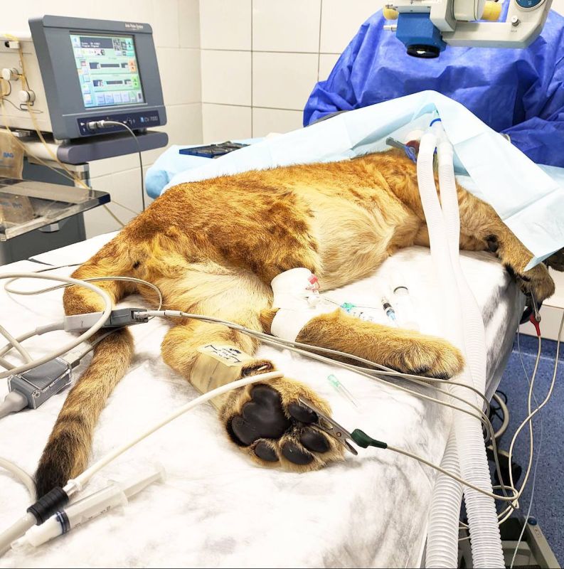 �������������� ���� �� ������ ������: ������� ������ ������� ������