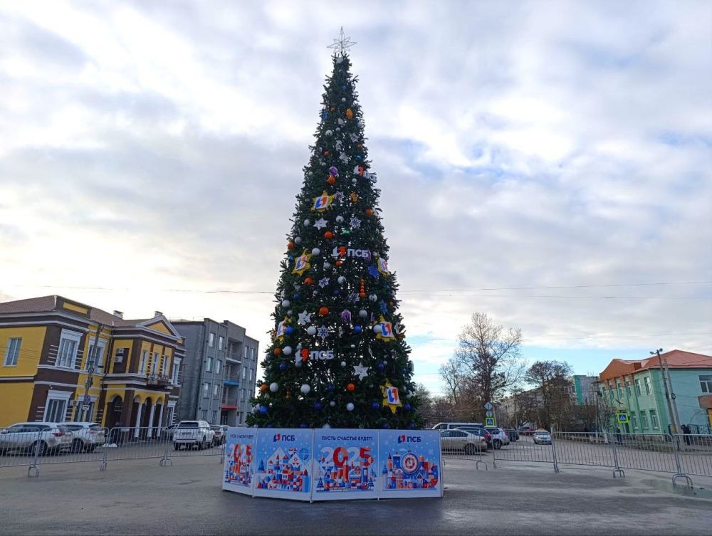 �������� � ��������� �� ����� ��� 2024�2025: ����� ��������, ������� ����