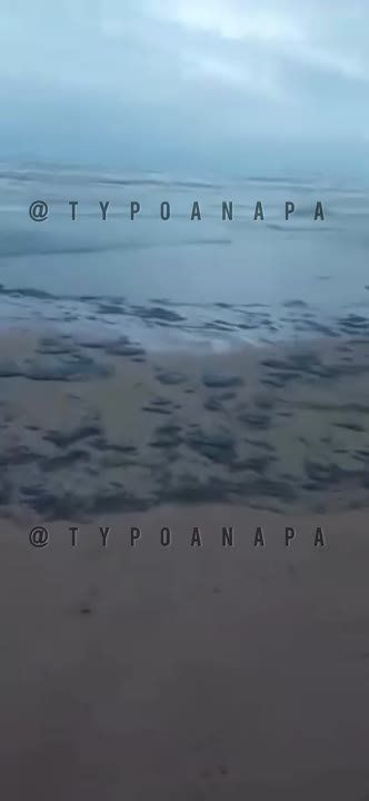 �����-������������ ����������� ��������������� ����������� ������������ ���������� �������� � ����� � ���������� ���������� � ����������� ���������� ������ �������� ������ � ���������� ������ ��� �� � ���������, �� ���� ����...