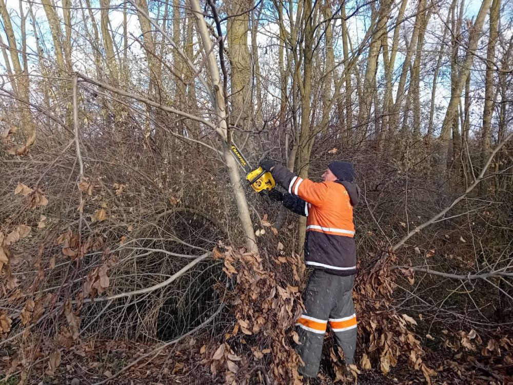 � ���������� ������������� ������ ���������� ������� ������ �� ���������� ������������� �����