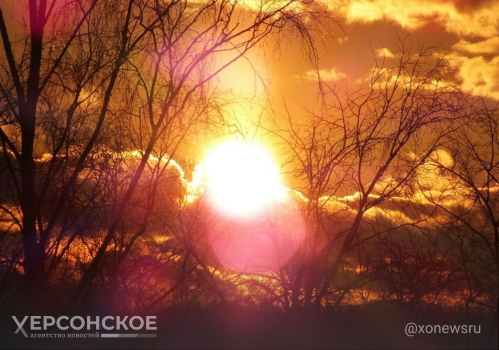 �������������� ��������� �������: �������� ������ ��� ��������� ���?