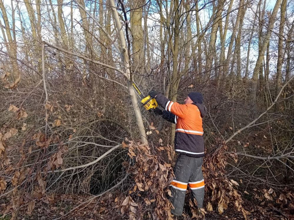 � ���������� ������������� ������ ���������� ������� ������ �� ���������� ������������� �����