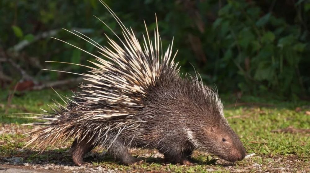 . � �� ����� ��� �������� - ��������� ����� ��������� ����� ������ ������ , ������� ������������ ����� ��������� ����