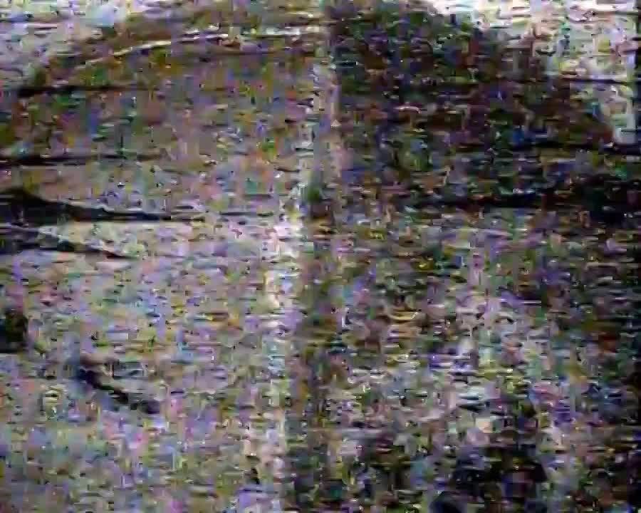 ��������� 11 ������ �������� ��������� ����, ��������� �� ������� �����