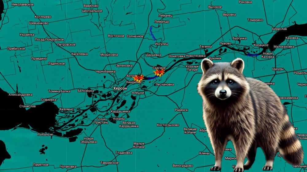 ���� �� �������: ������ ����, ������