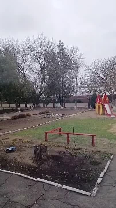 ��������������� ����������� ���������� ������� ���������� ������������� ���� �� ��������� ������