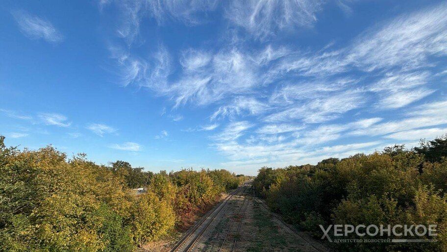 ������ ������ � ������� ������� �/� ��������� � �������