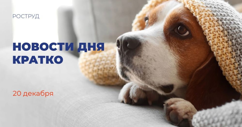 ������������� ������ ������� ����� 1 ���� ������ �� ������ � ������������� ����������